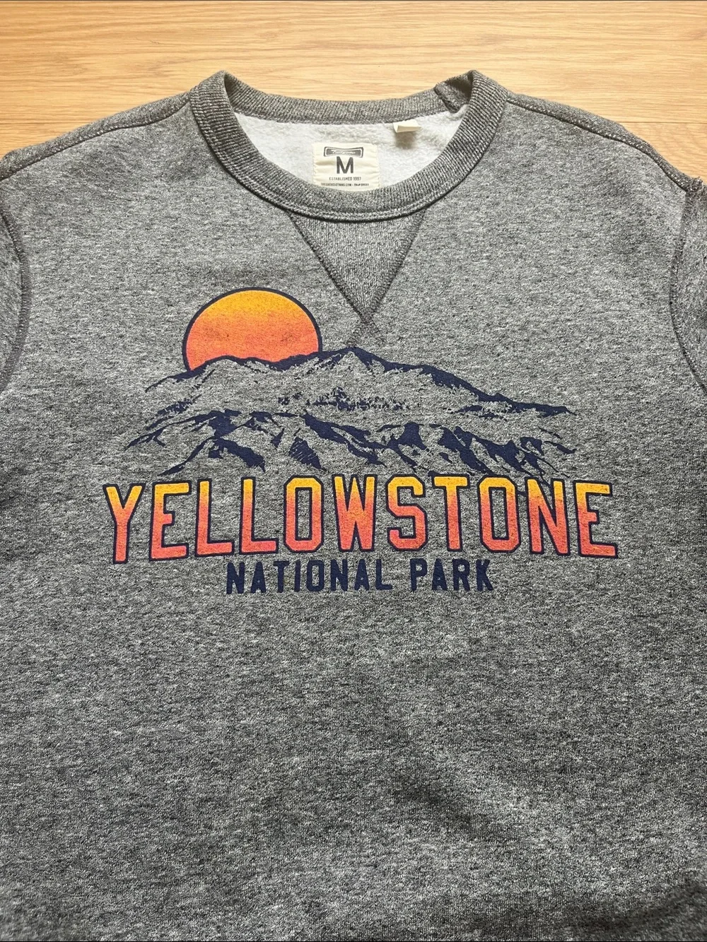Tailgate(American Eagle) Yellowstone graphic sweatshirt size M